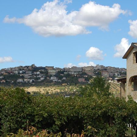 צ'יטה סנט'אנג'לו Agriturismo Torre Mannella - La Loggia מראה חיצוני תמונה