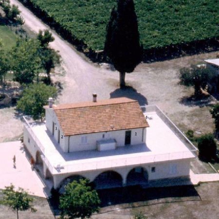 צ'יטה סנט'אנג'לו Agriturismo Torre Mannella - La Loggia מראה חיצוני תמונה