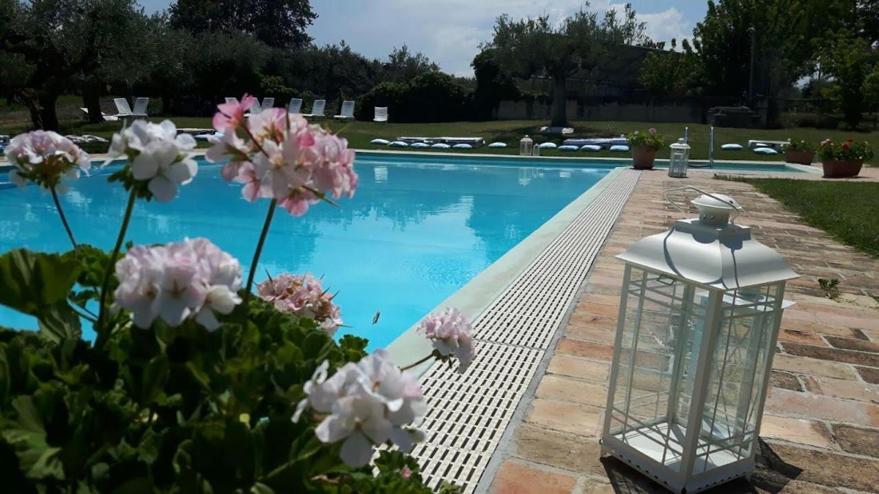 צ'יטה סנט'אנג'לו Agriturismo Torre Mannella - La Loggia מראה חיצוני תמונה