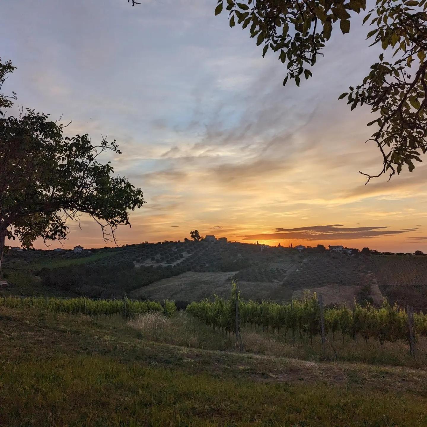 צ'יטה סנט'אנג'לו Agriturismo Torre Mannella - La Loggia מראה חיצוני תמונה