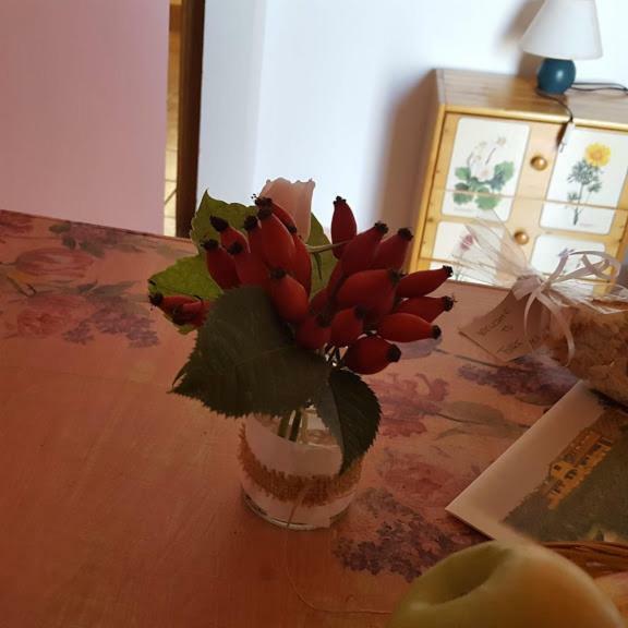 צ'יטה סנט'אנג'לו Agriturismo Torre Mannella - La Loggia מראה חיצוני תמונה