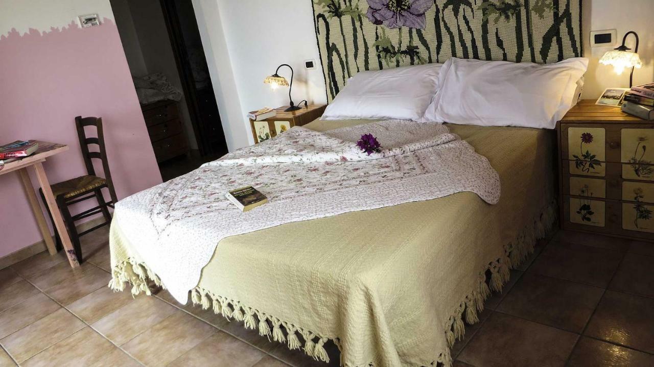 צ'יטה סנט'אנג'לו Agriturismo Torre Mannella - La Loggia מראה חיצוני תמונה